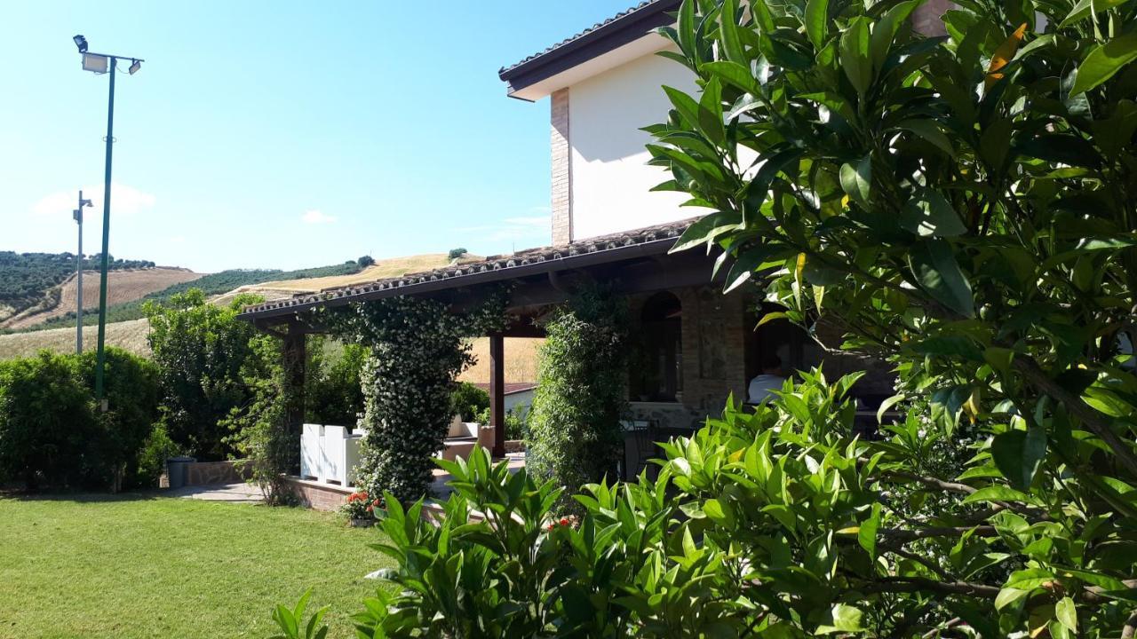 Agriturismo Trappeto Vecchio San Demetrio Corone Exterior foto