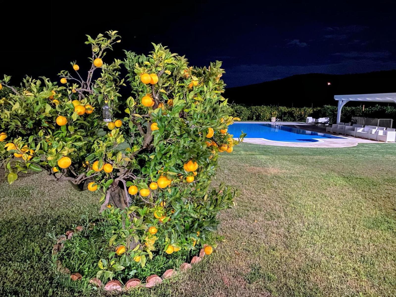 Agriturismo Trappeto Vecchio San Demetrio Corone Exterior foto